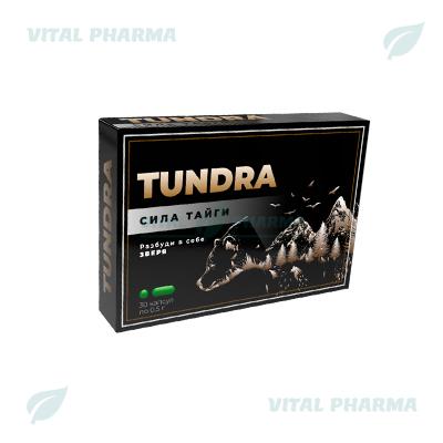 Tundra